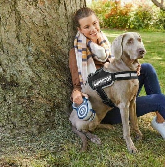 Dog Harness Pet supplies Dog Harness Dog Harness Zoofari