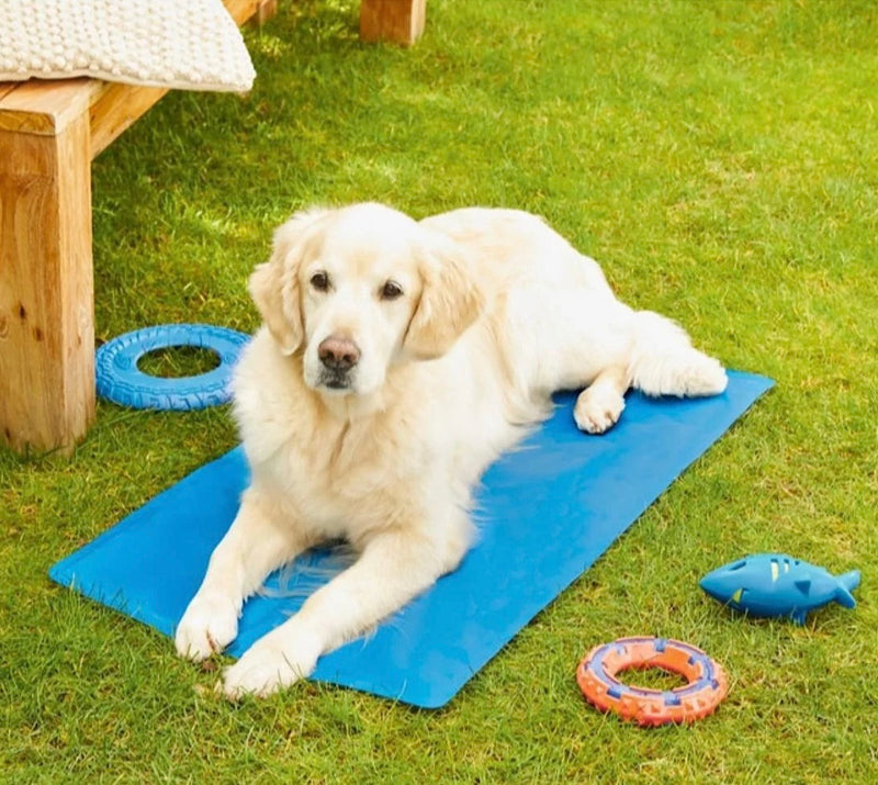 Cooling Mat For Dogs