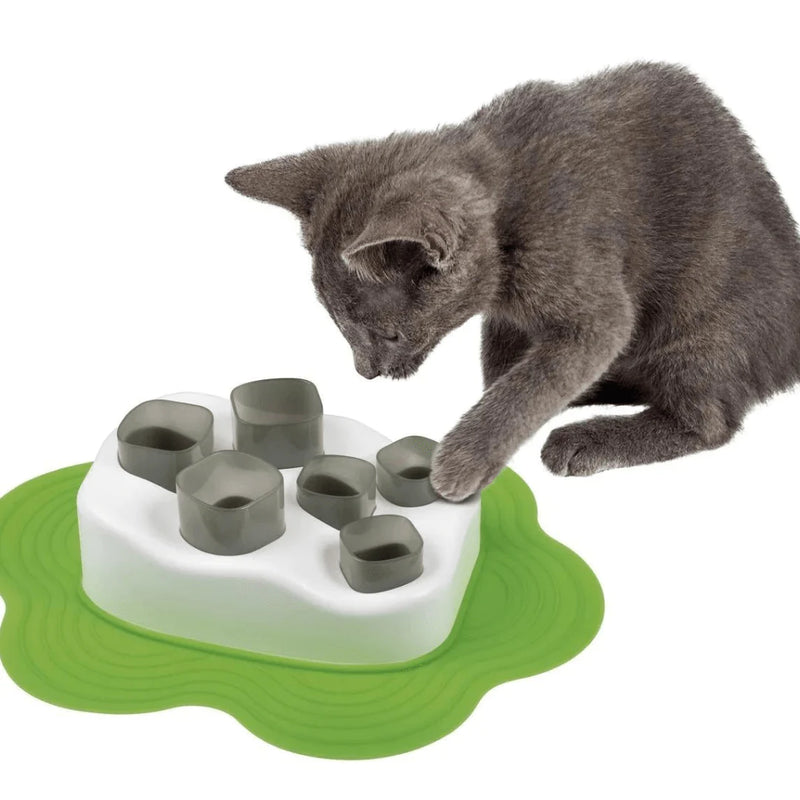 Interactive Cat Feeder