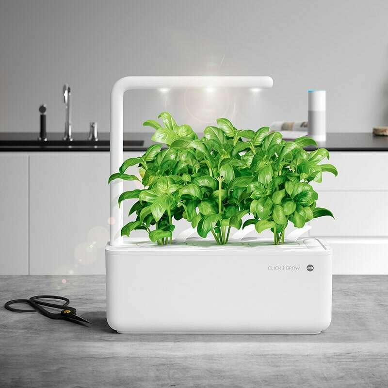 Smart Garden 3-Click and Grow Plant Pots Smart Garden 3-Click and Grow Smart Garden 3-Click and Grow Click & Grow