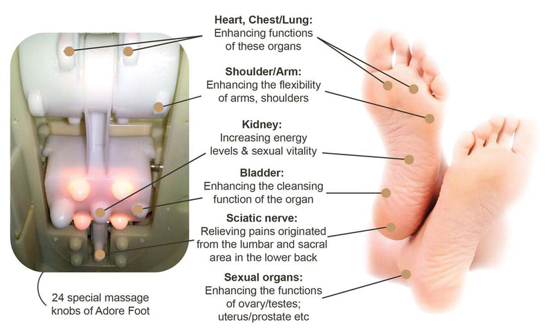 Adore Foot Warmer & Massager Massage & Relaxation Adore Foot Warmer & Massager Adore Foot Warmer & Massager OTO