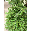Christmas hinged tree Green Christmas Tree Christmas hinged tree Green Christmas hinged tree Green Miracle