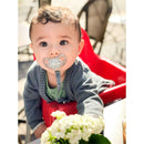 The German Outlet, Twistshake, 2x Baby's Dummy Grey & White