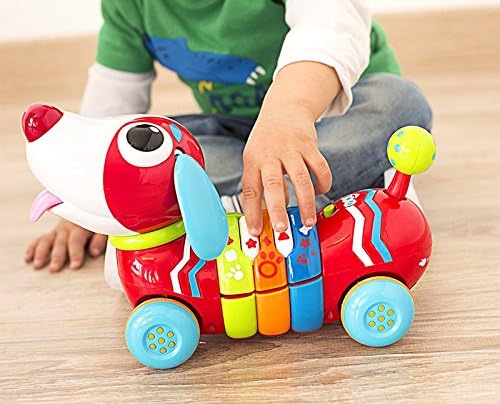 Remote Control Rainbow Puppy toddler's toys Remote Control Rainbow Puppy Remote Control Rainbow Puppy WinFun