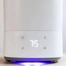 Humidifier Breeze Care 3000, 5.5L Tank, Ceramic Filter - 30W Humidifiers Humidifier Breeze Care 3000, 5.5L Tank, Ceramic Filter - 30W Humidifier Breeze Care 3000, 5.5L Tank, Ceramic Filter - 30W Cecotec