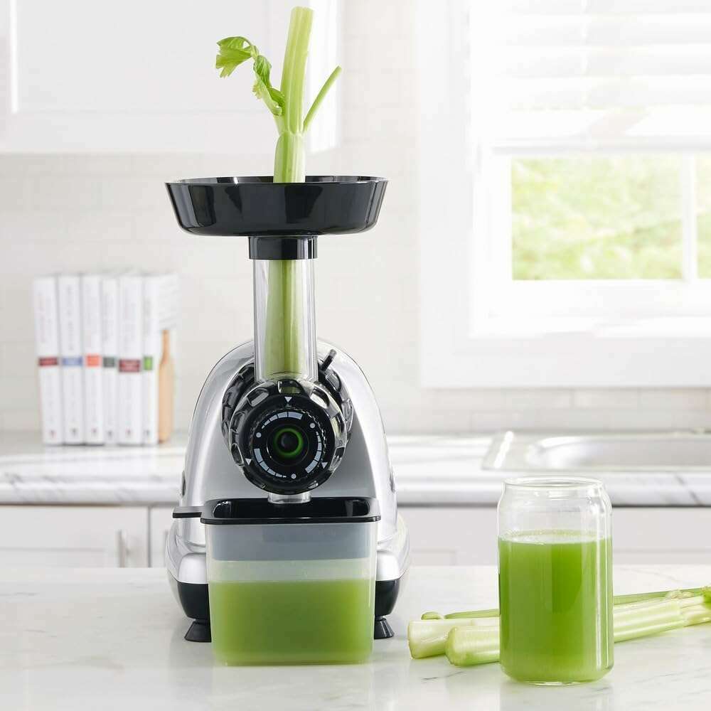 Low Speed Masticating Celery Juicer