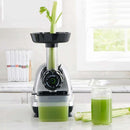 Low Speed Masticating Celery Juicer Juicers Low Speed Masticating Celery Juicer Low Speed Masticating Celery Juicer OMEGA