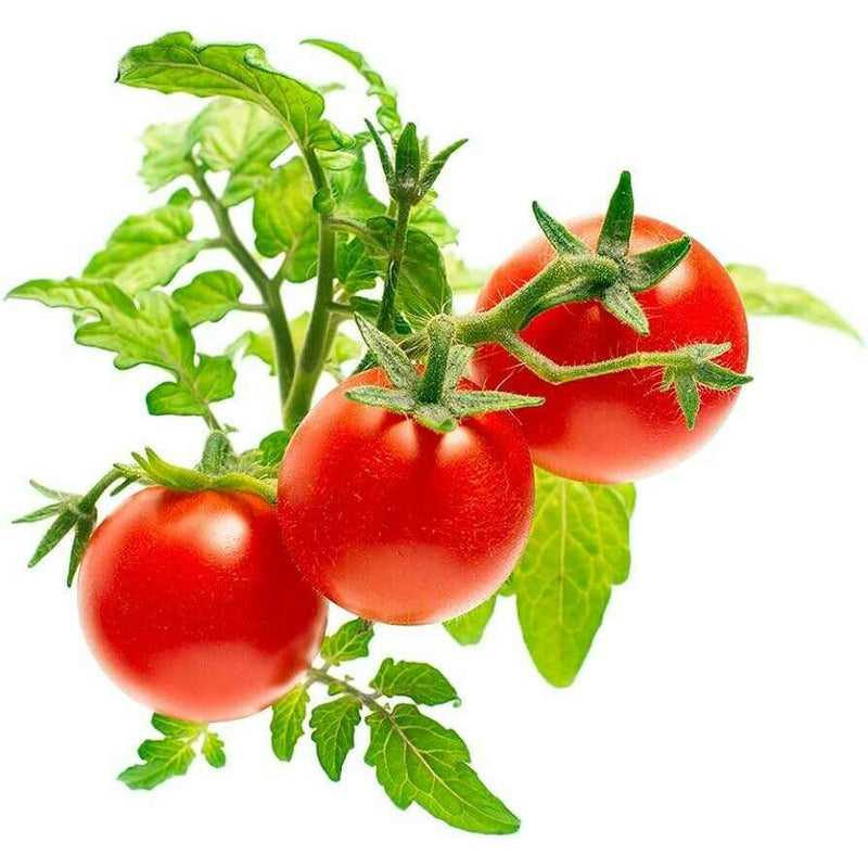 Click&Grow Refill - Mini Tomatoes Smart Garden Click&Grow Refill - Mini Tomatoes Click&Grow Refill - Mini Tomatoes Click & Grow