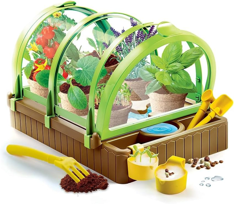 Science Greenhouse for Children- Ages 7 Years Toys Science Greenhouse for Children- Ages 7 Years Science Greenhouse for Children- Ages 7 Years CLEMENTONI