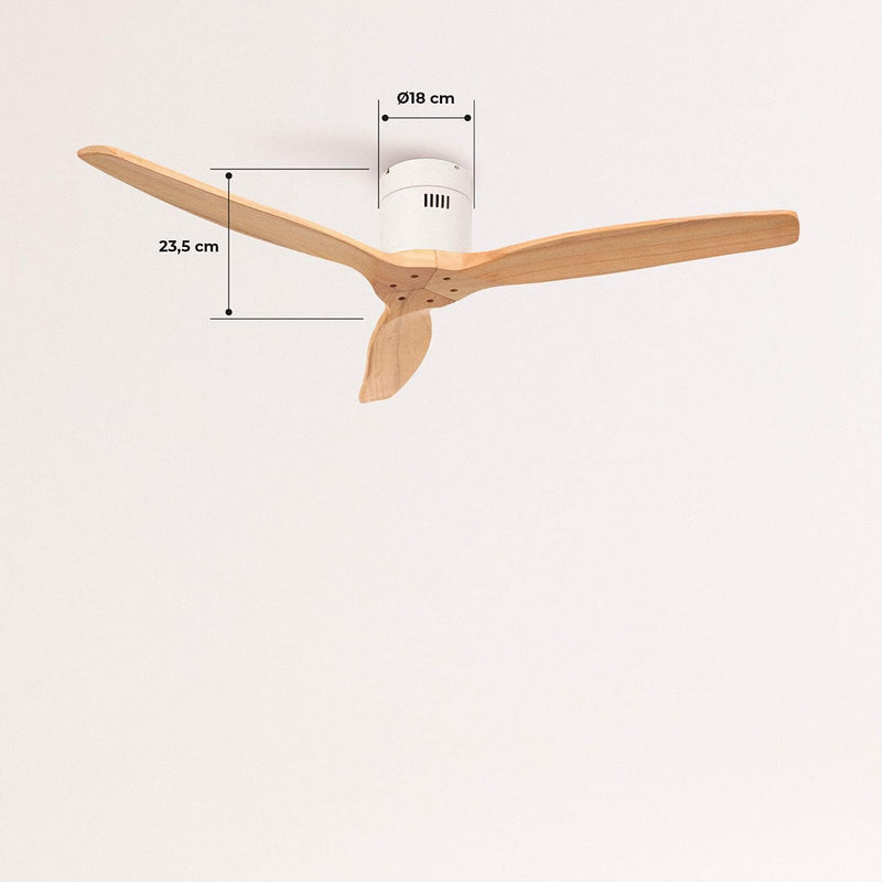 WindowCalm DC Ceiling Fans WindowCalm DC WindowCalm DC CREATE