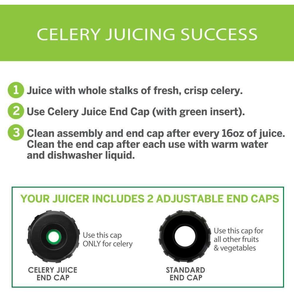 Low Speed Masticating Celery Juicer - Main Image