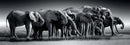 Herd of Giants-1000 Pieces, Panoramic adults puzzle Herd of Giants-1000 Pieces, Panoramic Herd of Giants-1000 Pieces, Panoramic CLEMENTONI