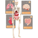 The History Of Life On Earth - EN Toys The History Of Life On Earth - EN The History Of Life On Earth - EN CLEMENTONI