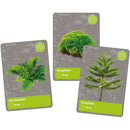 The History Of Life On Earth - EN Toys The History Of Life On Earth - EN The History Of Life On Earth - EN CLEMENTONI