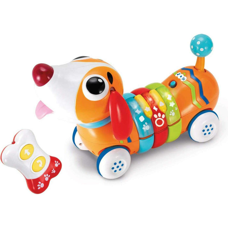 Remote Control Rainbow Puppy toddler's toys Remote Control Rainbow Puppy Remote Control Rainbow Puppy WinFun