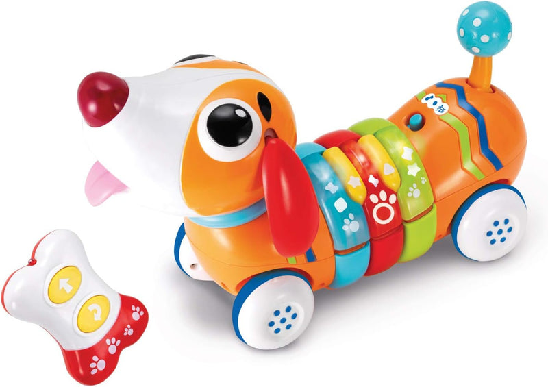 Remote Control Rainbow Puppy toddler's toys Remote Control Rainbow Puppy Remote Control Rainbow Puppy WinFun