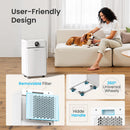 Quiet Dehumidifier With Drain Hose Outlet Quiet Dehumidifier With Drain Hose Quiet Dehumidifier With Drain Hose CHIVALZ