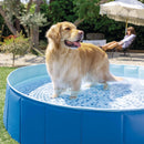Foldable Pool with Animal Motifs home pool Foldable Pool with Animal Motifs Foldable Pool with Animal Motifs Intex