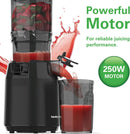 Black Slow Juicer - 250W Juicers Black Slow Juicer - 250W Black Slow Juicer - 250W Hamilton Beach