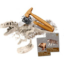 The History Of Life On Earth - EN Toys The History Of Life On Earth - EN The History Of Life On Earth - EN CLEMENTONI