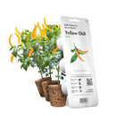 The German Outlet, Click & Grow, Click&Grow Refill- Pepper, Click&Grow Refill- Pepper