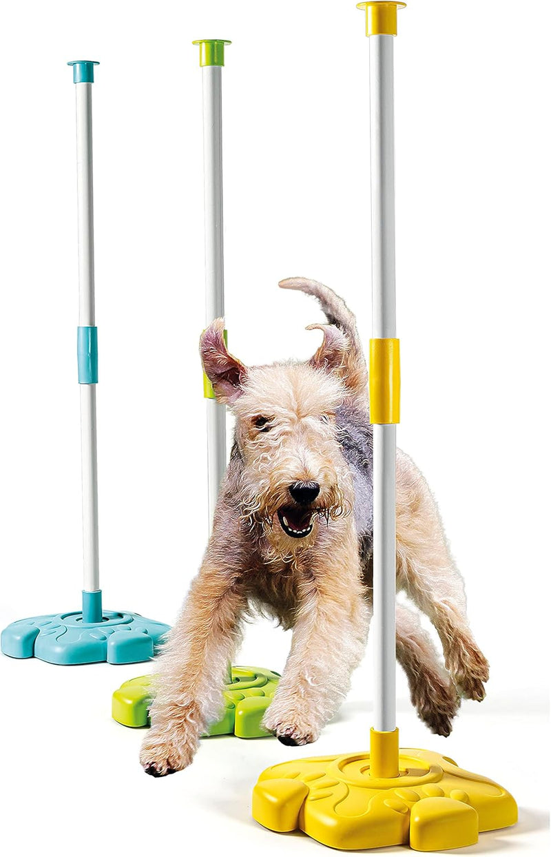 Pet Lab - EN Fun Toys Pet Lab - EN Pet Lab - EN CLEMENTONI