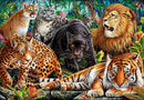 Puzzle PZL 500 HQC WILD CATS adults puzzle Puzzle PZL 500 HQC WILD CATS Puzzle PZL 500 HQC WILD CATS CLEMENTONI