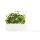 The German Outlet, Click & Grow, Click&Grow Refill- Wild Strawberry