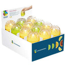 Colourworks  Mini Citrus Juicers Lemon Juicer Colourworks  Mini Citrus Juicers Colourworks  Mini Citrus Juicers KitchenCraft