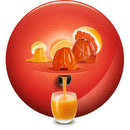 The German Outlet, Moulinex, Direct Serve Juicer 3 Cones