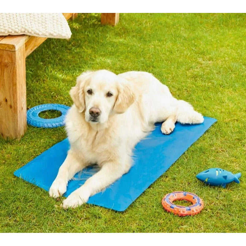 Cooling Mat For Dogs Pet supplies Cooling Mat For Dogs Cooling Mat For Dogs Zoofari