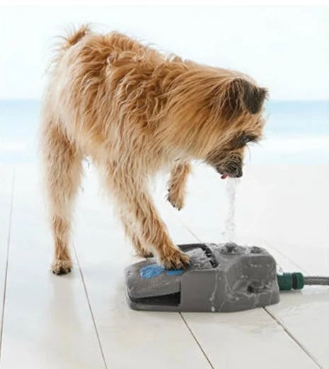 Step-On Dog Water Fountain