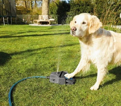 Step-On Dog Water Fountain