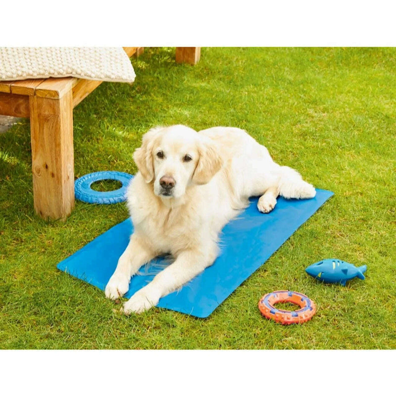 Cooling Mat For Dogs Pet supplies Cooling Mat For Dogs Cooling Mat For Dogs Zoofari