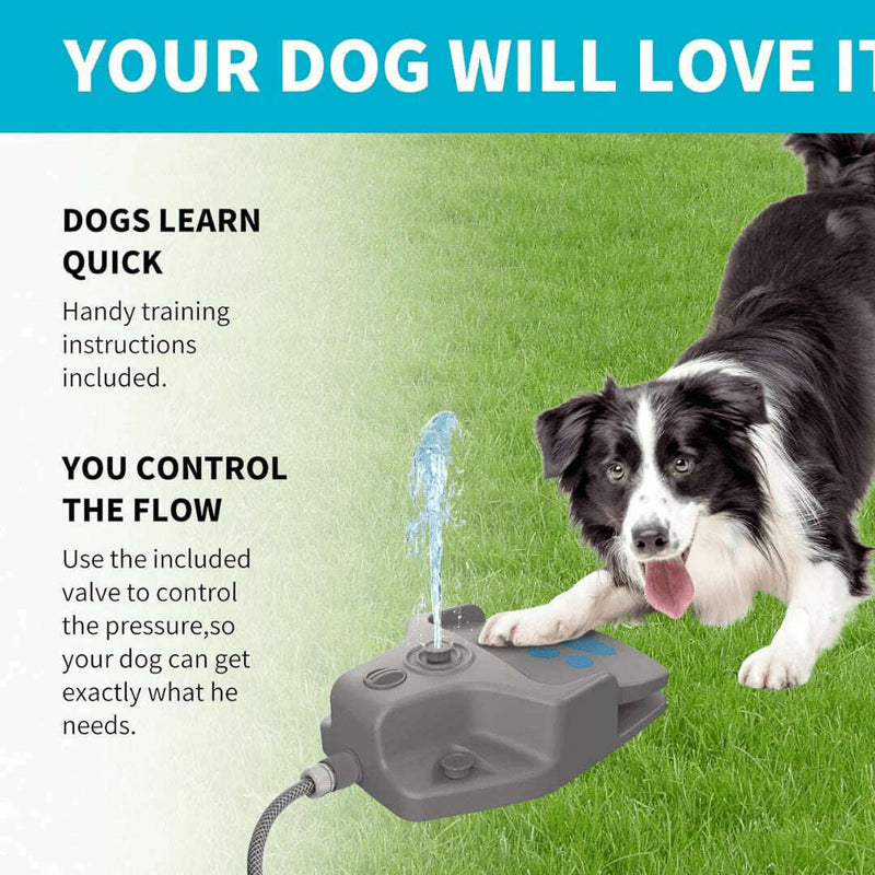 Step-On Dog Water Fountain Pet supplies Step-On Dog Water Fountain Step-On Dog Water Fountain Zoofari