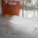 38cm Bottle Cleaning Brush Cleaning Brush 38cm Bottle Cleaning Brush 38cm Bottle Cleaning Brush KitchenCraft