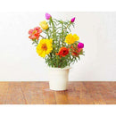 The German Outlet, Click & Grow, Click&Grow Refill - Edible Flowers, Click&Grow Refill - Edible Flowers
