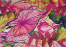 Placemat Tropical (pack of 4 pieces)  Placemat Tropical (pack of 4 pieces) Placemat Tropical (pack of 4 pieces) The Chefs Warehouse By MG