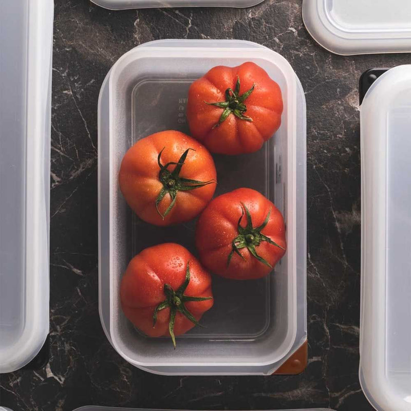 Rectangular Plastic Food containers & Storages Food containers Rectangular Plastic Food containers & Storages Rectangular Plastic Food containers & Storages MasterPro