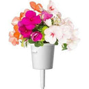 The German Outlet, Click & Grow, Click&Grow Refill - Edible Flowers, Click&Grow Refill - Edible Flowers