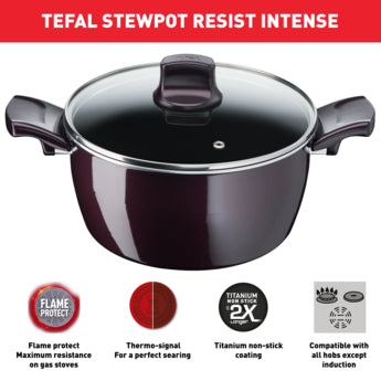 Resist Intense - Stewpot + Glass Lid cookware Resist Intense - Stewpot + Glass Lid Resist Intense - Stewpot + Glass Lid Tefal