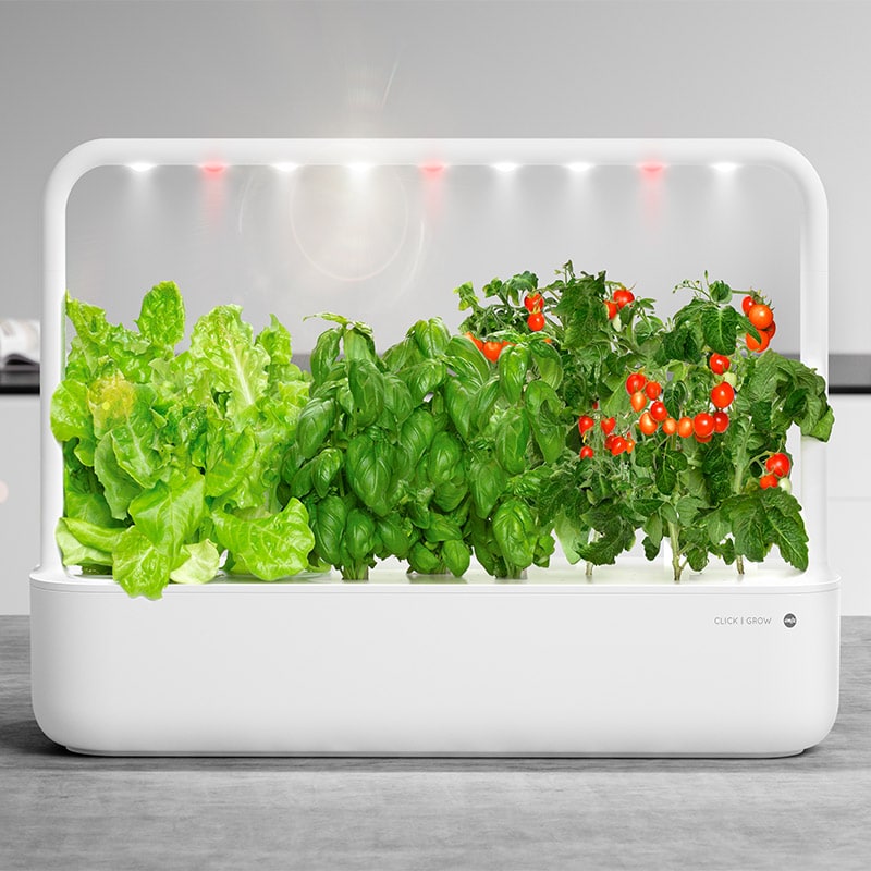 Smart Garden 9-Click and Grow