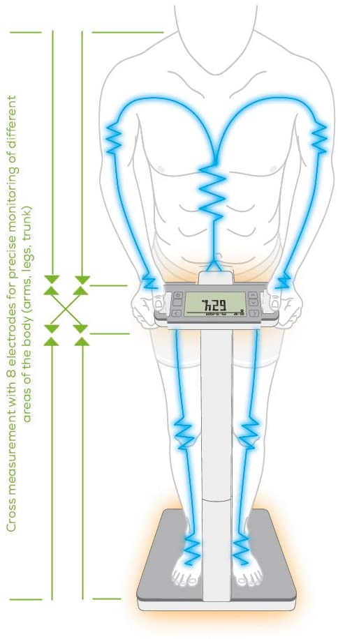 Super Precision Body Analysis Scale Body Weight Scales Super Precision Body Analysis Scale Super Precision Body Analysis Scale Beurer